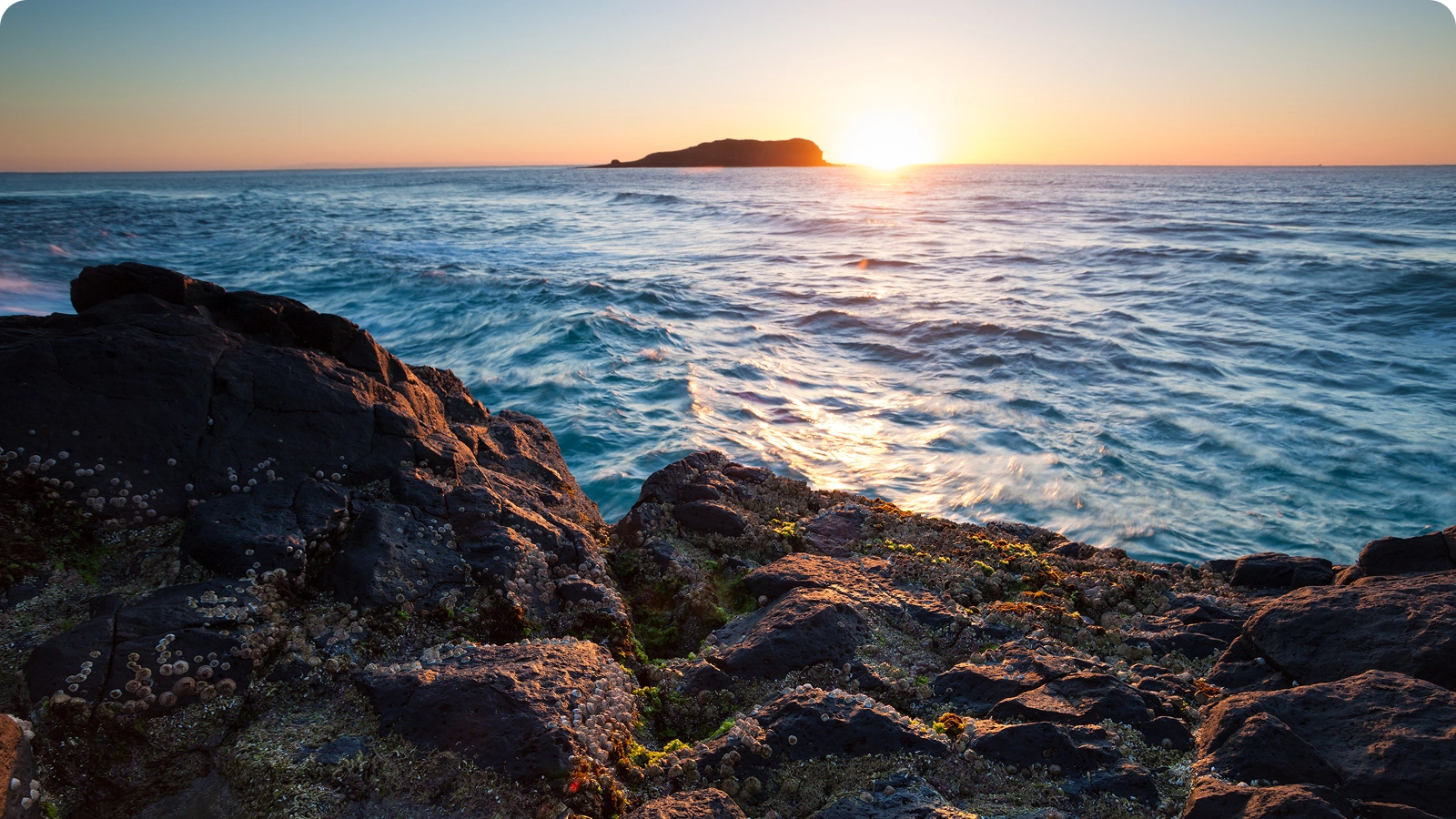 tweed NR roofingcentre 24